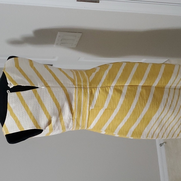 The Limited Dress - Picture 3 of 4